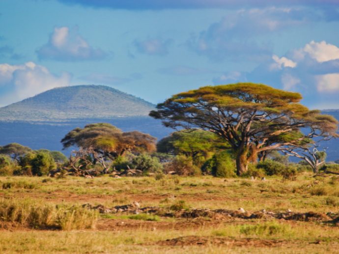 Volunteer Abroad South Africa